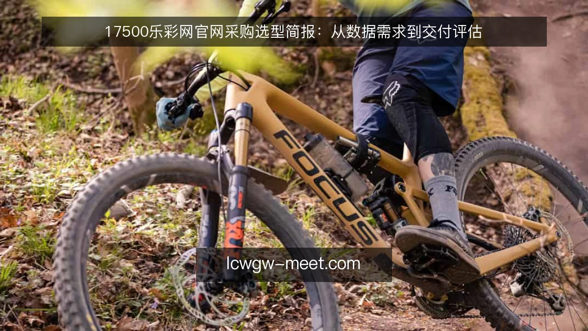 17500乐彩网官网采购选型简报：从数据需求到交付评估