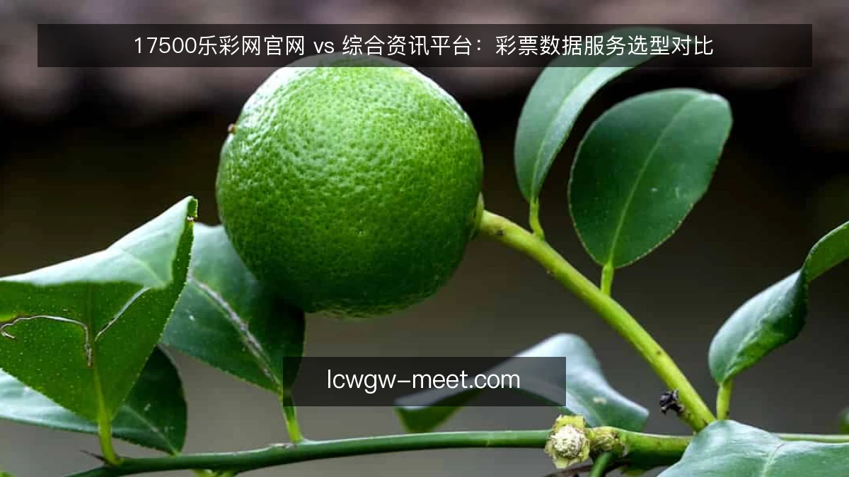 17500乐彩网官网 vs 综合资讯平台：彩票数据服务选型对比