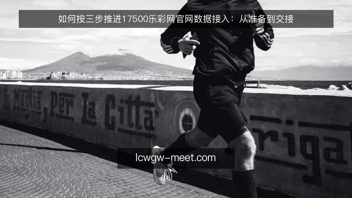 如何按三步推进17500乐彩网官网数据接入:从准备到交接