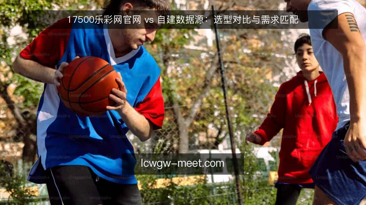 17500乐彩网官网 vs 自建数据源：选型对比与需求匹配