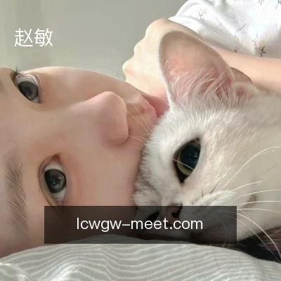 赵敏
